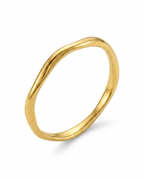916 Gold Ring Mobius