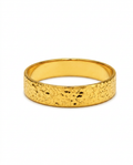916 Gold Ring Glacier