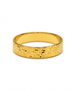 916 Gold Ring Glacier